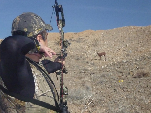  Archery 